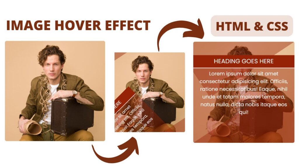 How To Create Image Hover Effect Using HTML & CSS