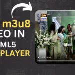 How To Play m3u8 File in HTML Video Player Using JavaScript